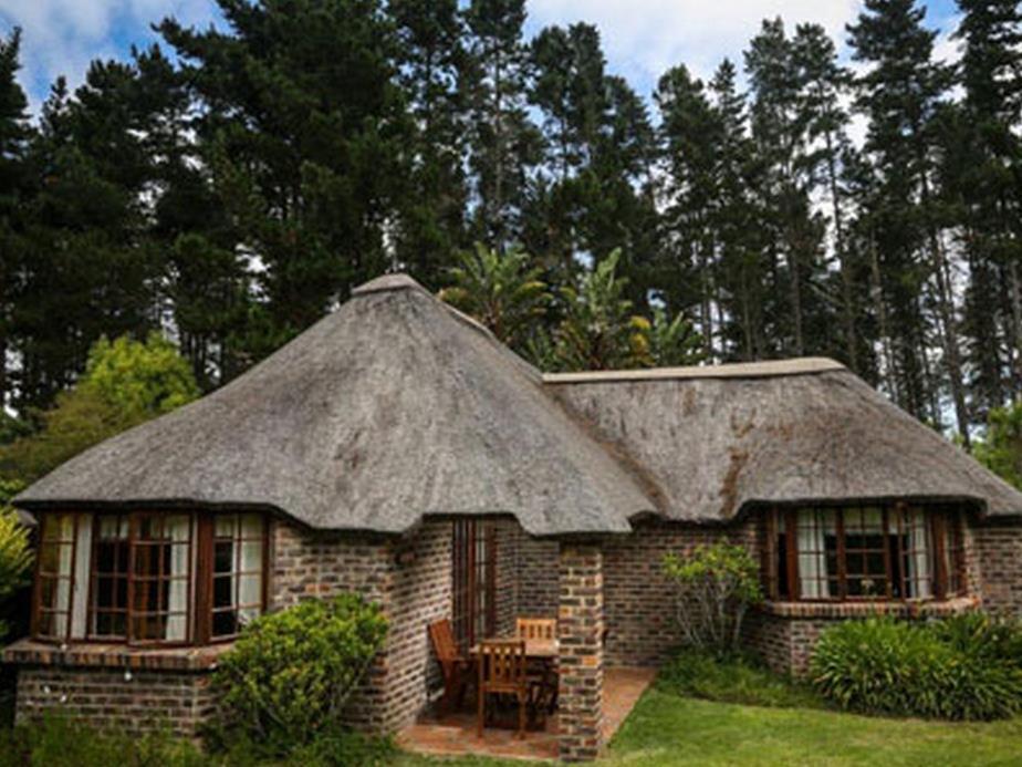 Coral Tree Cottages Harkerville Extérieur photo