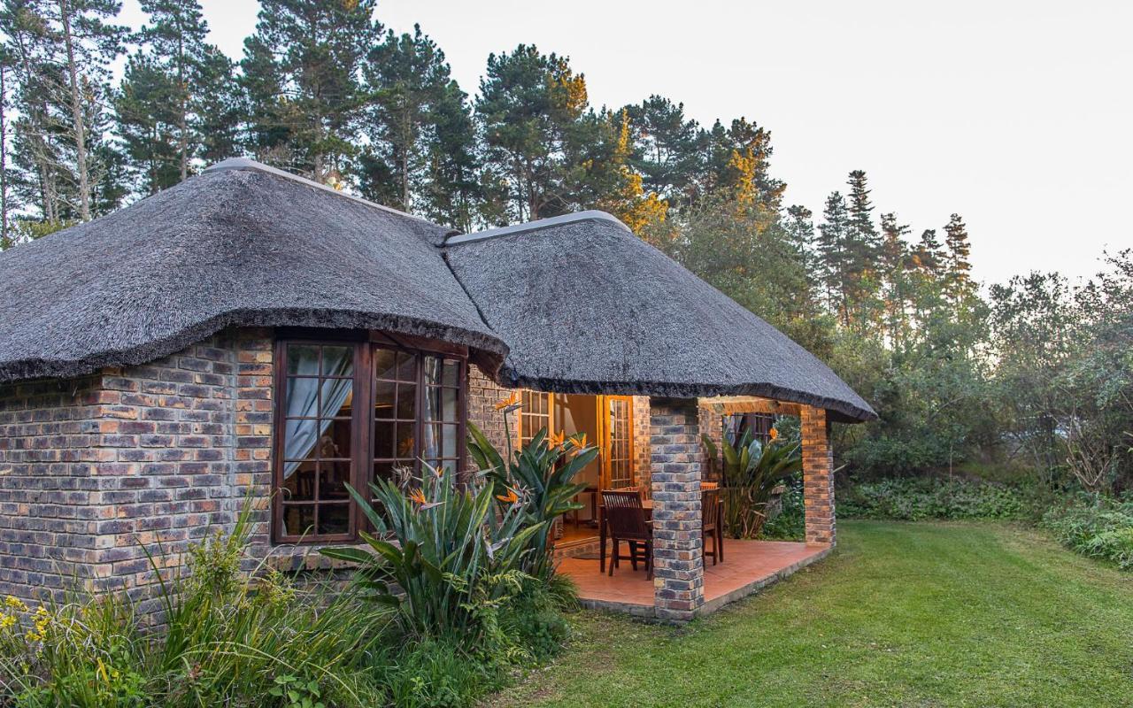Coral Tree Cottages Harkerville Extérieur photo