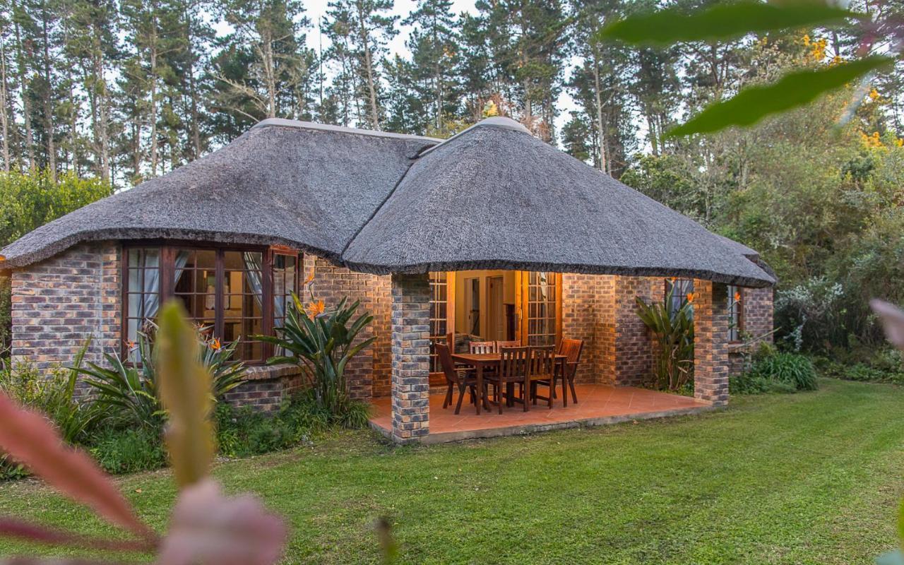 Coral Tree Cottages Harkerville Extérieur photo