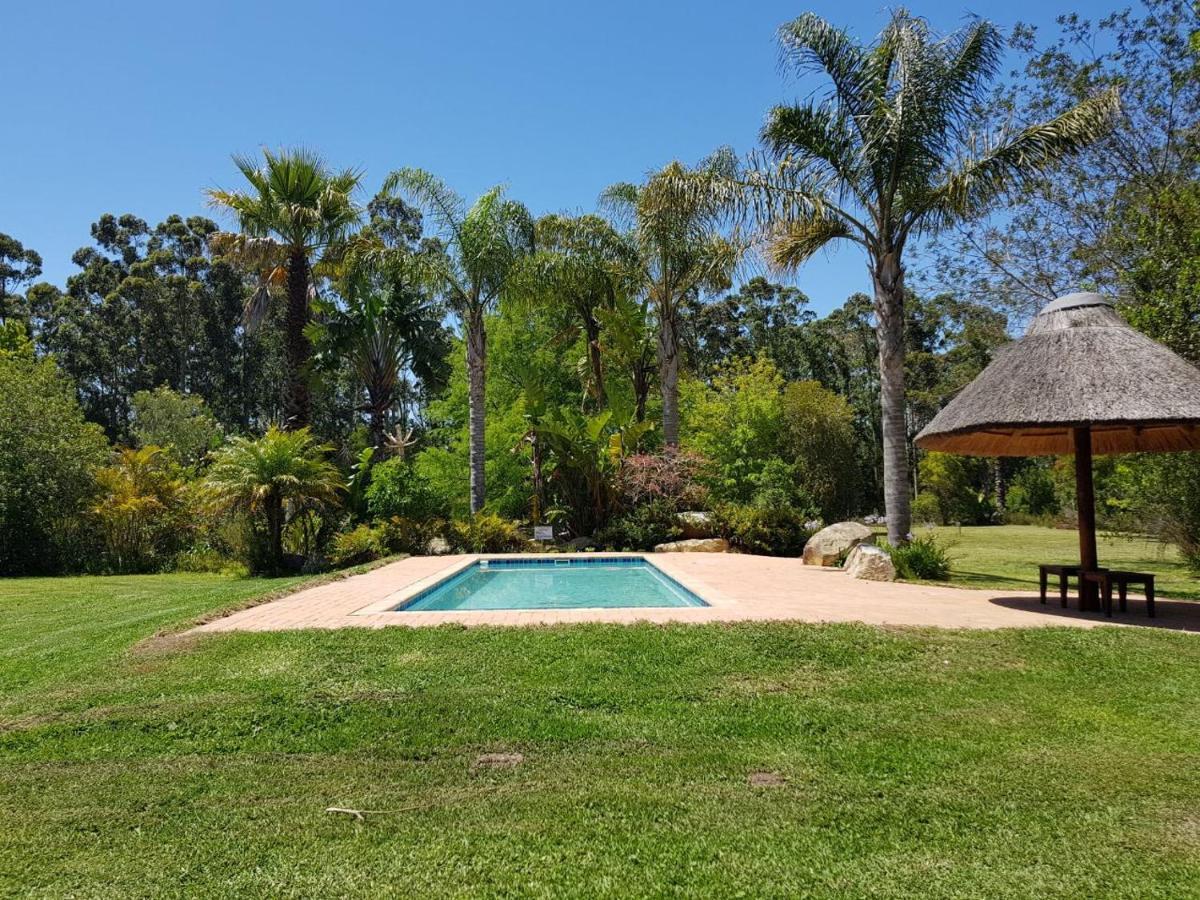 Coral Tree Cottages Harkerville Extérieur photo